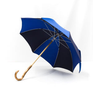 Parapluie enfant bleu roi et bleu marine