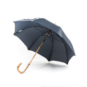 Parapluie anglais chic carreaux bleus