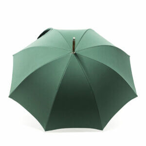 Parapluie anglais vert
