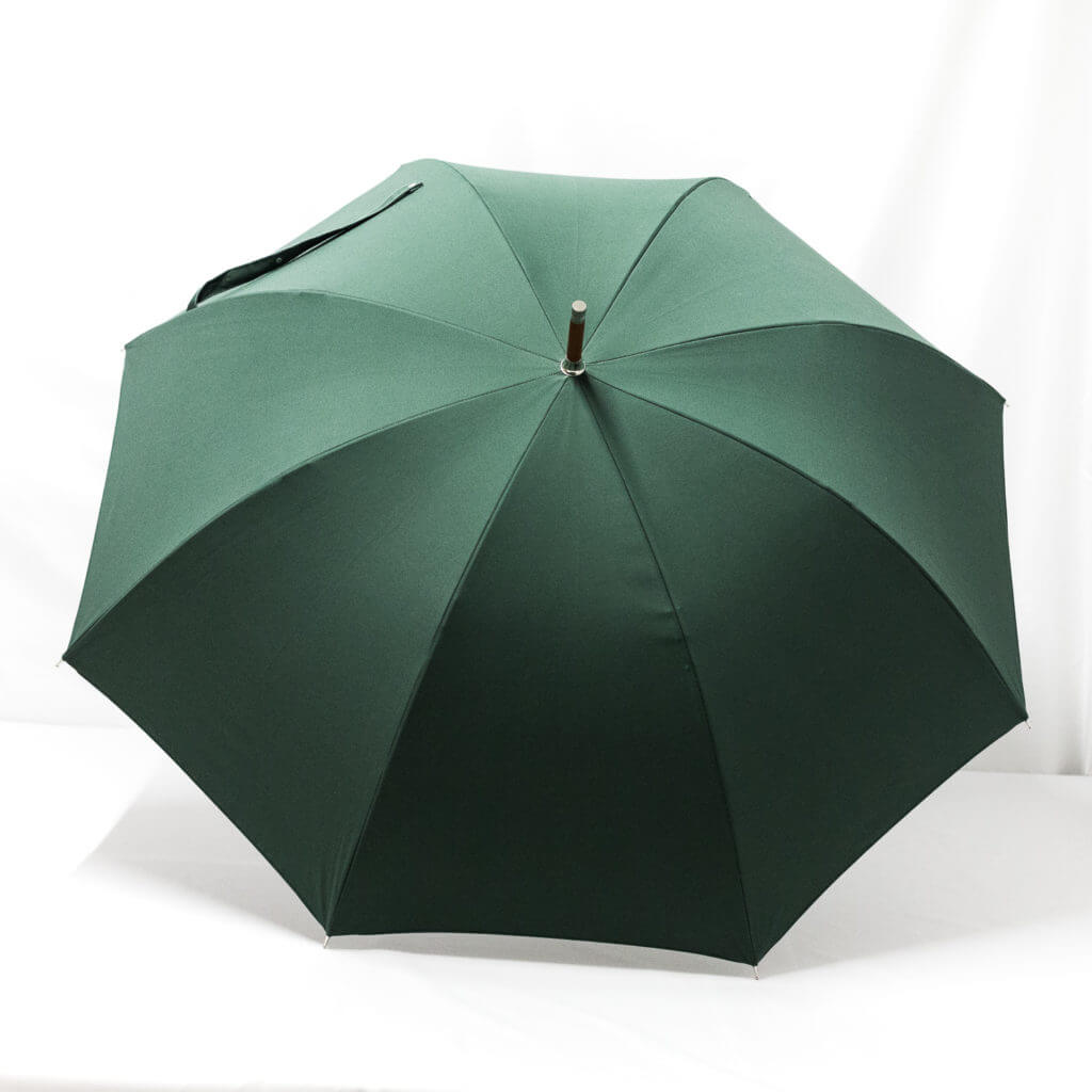 Grand parapluie homme vert